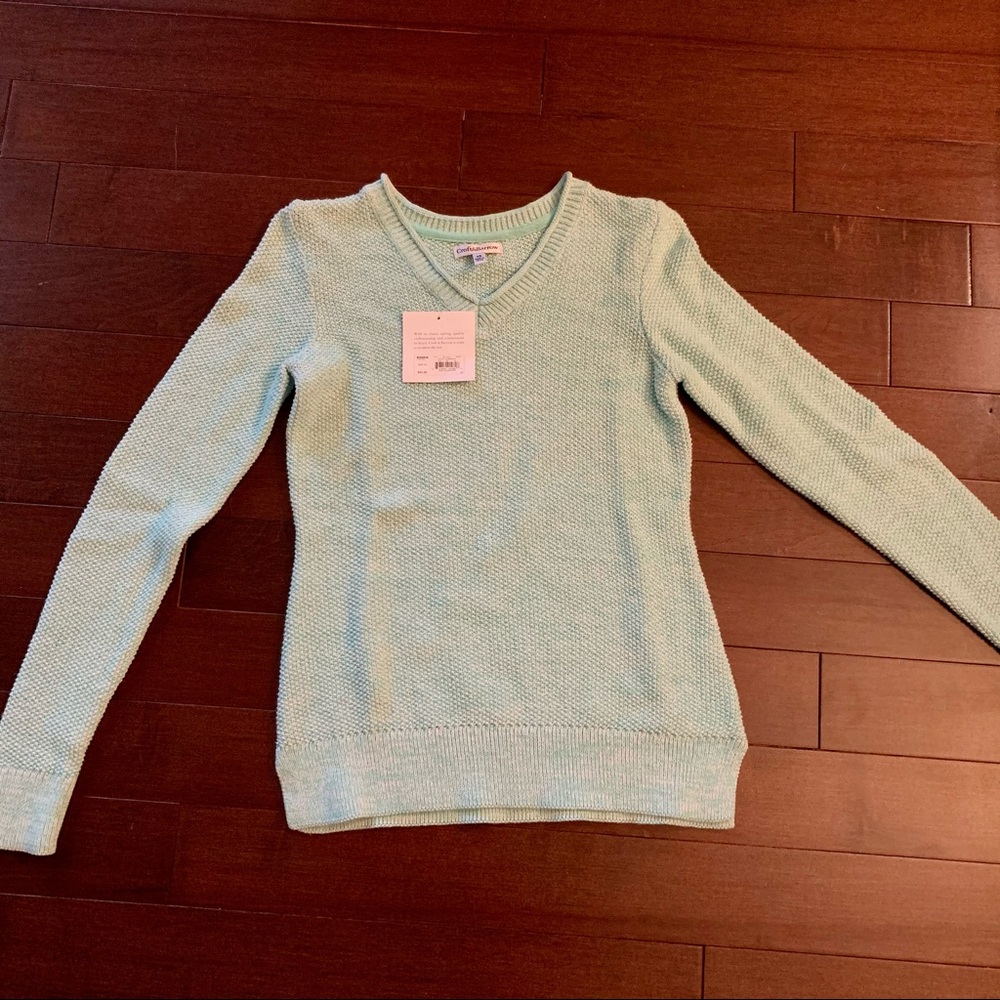 NWT sonoma green v neck sweater